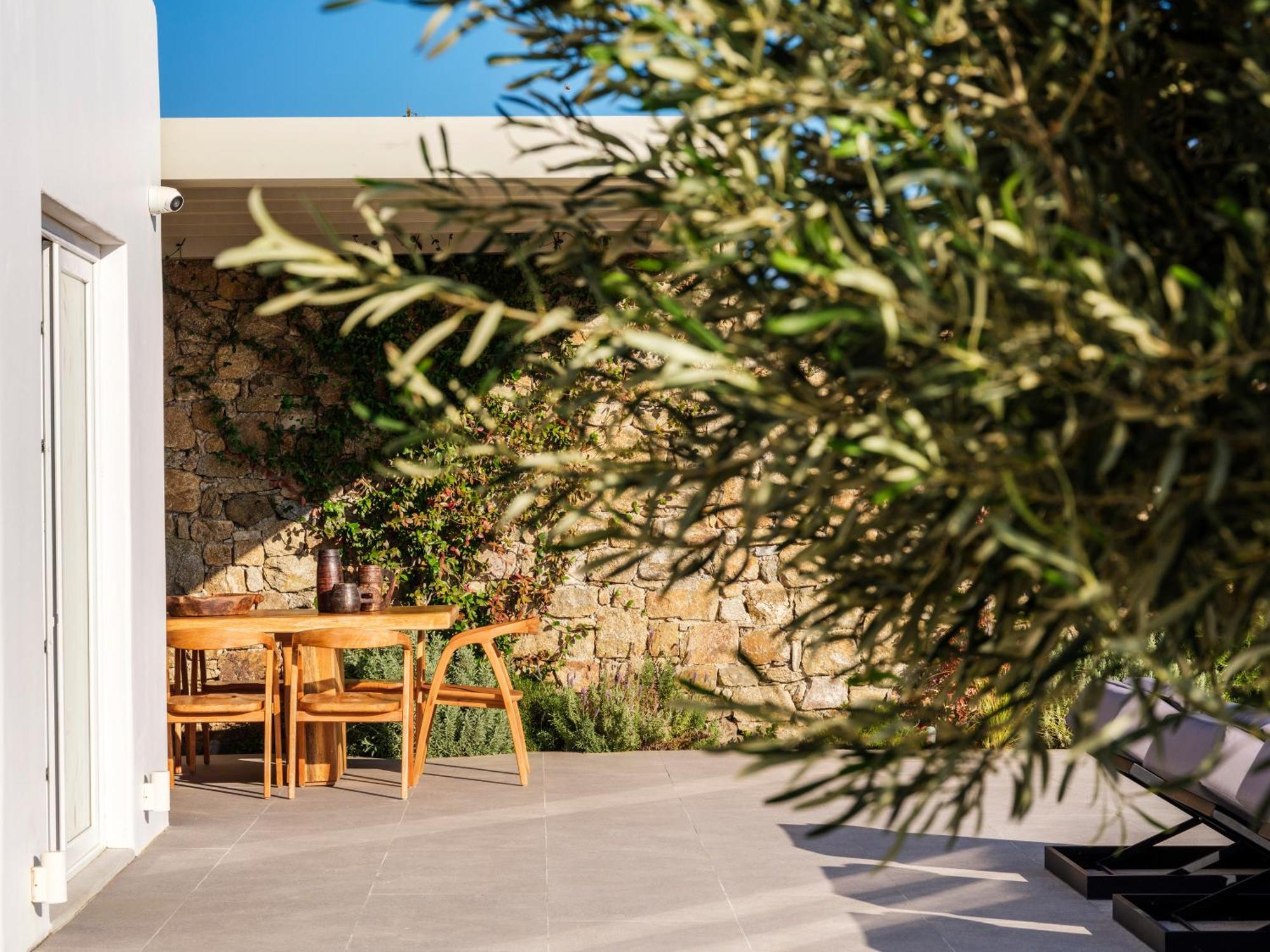 Blue Eye Grand Villa Mykonos カラファティス エクステリア 写真